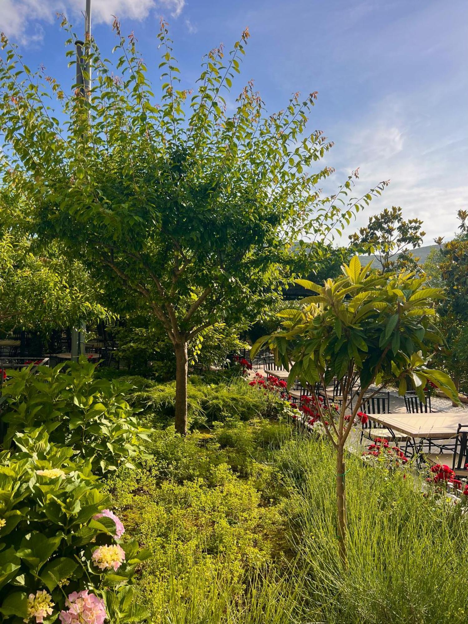 Hotel Opera Jaz Budva Zewnętrze zdjęcie